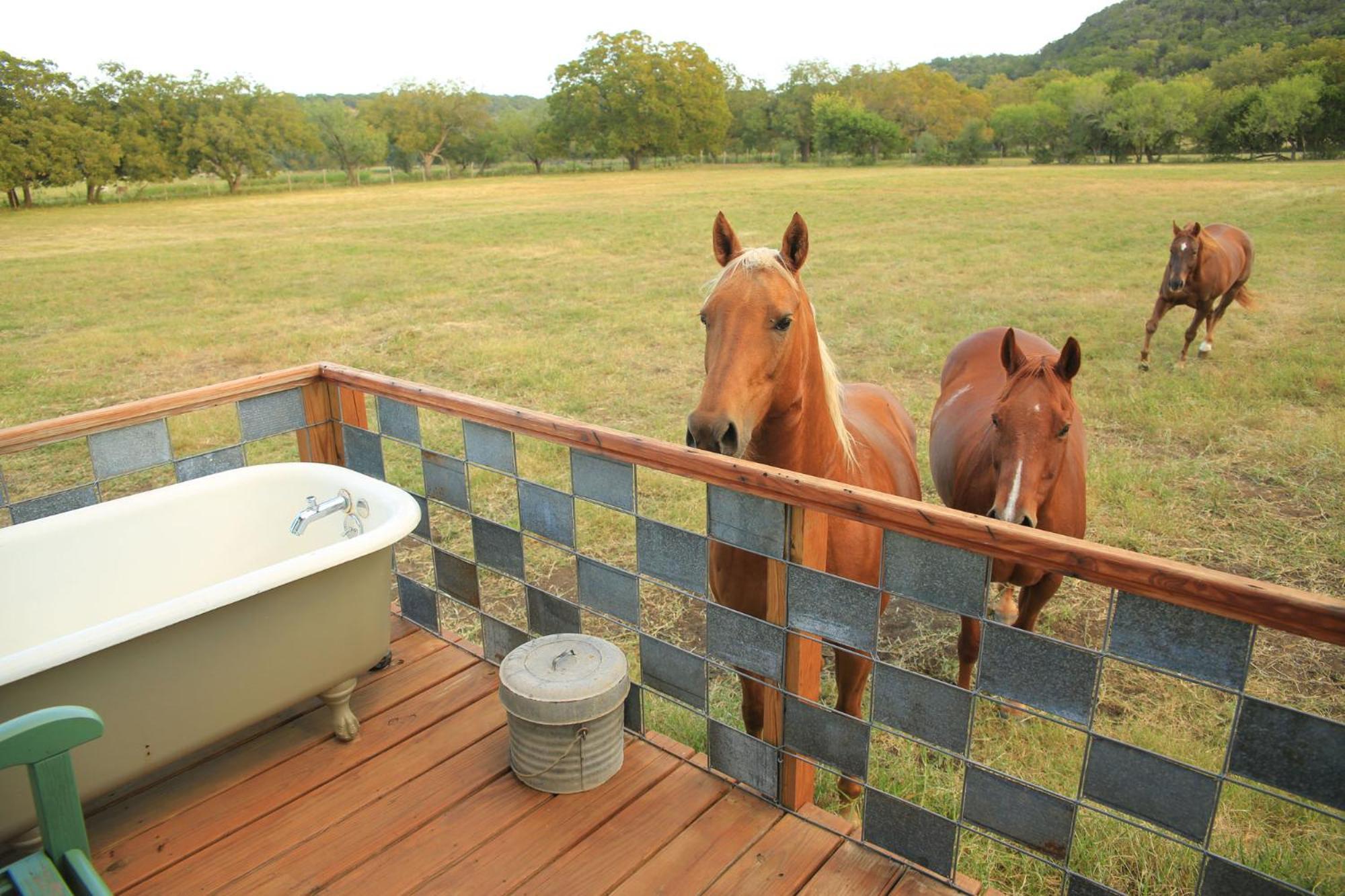 Montesino Ranch Lodging Villa Wimberley Eksteriør bilde