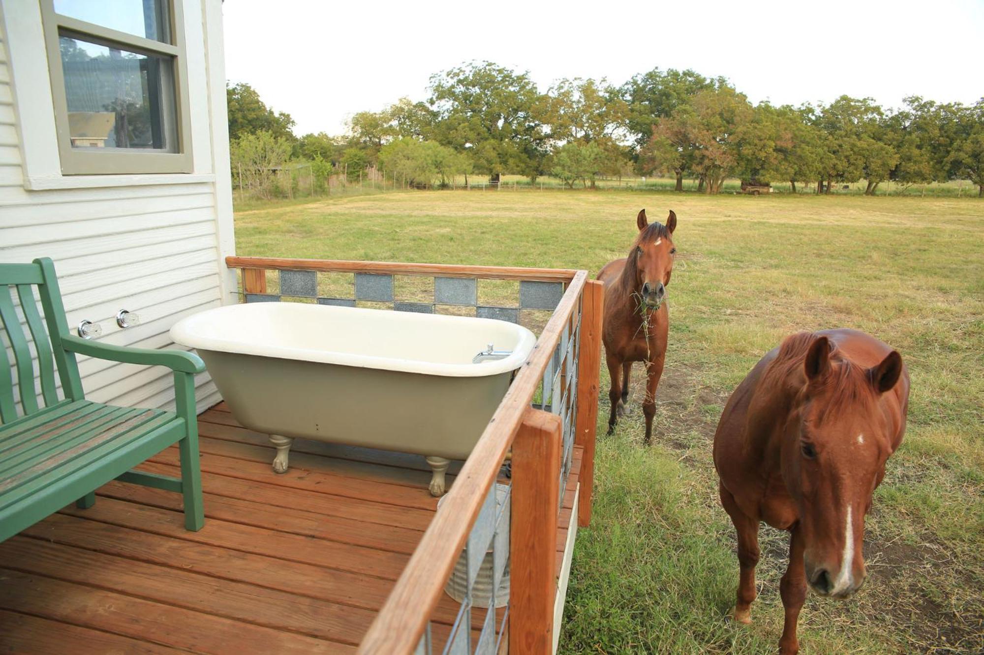 Montesino Ranch Lodging Villa Wimberley Eksteriør bilde
